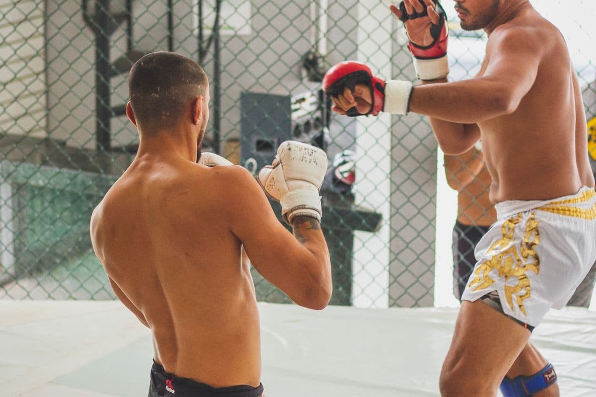 Two combat-sports athletes sparring inside a training cage